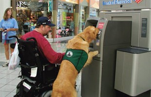 Unconditional Love and Companionship