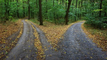 Reclaiming the Unlived Life As we get older we can make the choice to go down a path that we turned away from when we were younger.