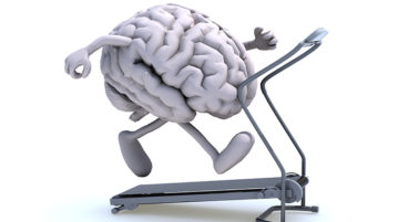 Do You Need a Personal Trainer for Your Brain? Your Brain Fitness
