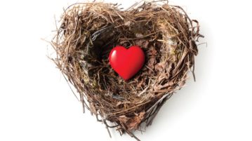 Leaving the Nest – How to Part with your Home